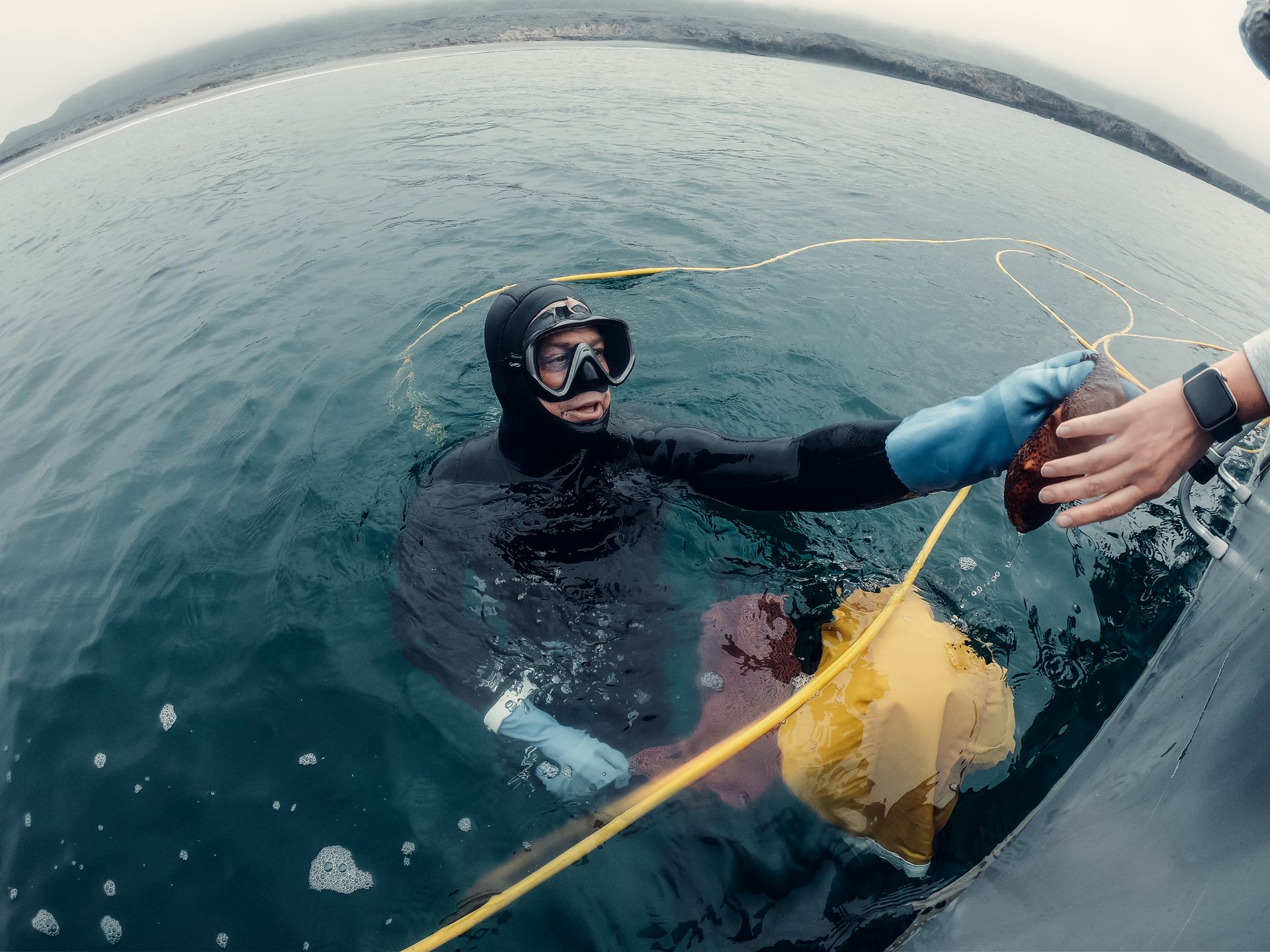 AUV deployment from a research vessel